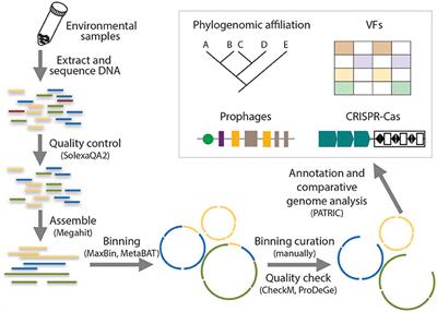 Benefits of Genomic Insights and CRISPR-Cas Signatures to Monitor Potential Pathogens across Drinking Water Production and Distribution Systems